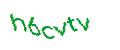 Captcha 画像