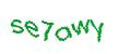 Captcha 画像